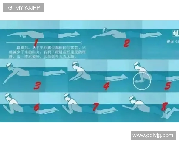 初学者蛙泳技巧入门：从基本动作到提高速度的全面指导