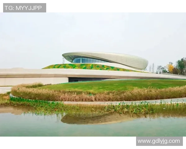 成都羽毛球队在奥运会上的精彩节奏表现与未来发展展望