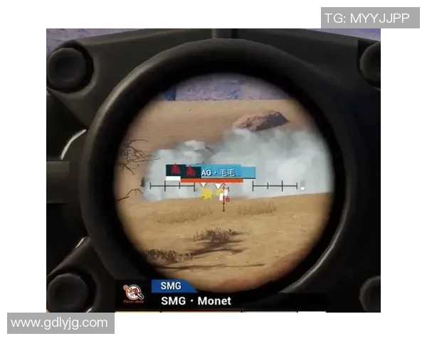 和平精英赛事分析：FPX战队的比赛经验与策略深度解读