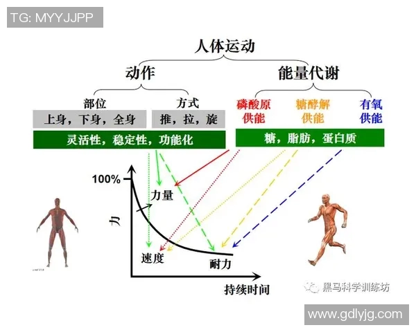 运动助力健康，科学锻炼提升体能与心理素质的综合方法解析