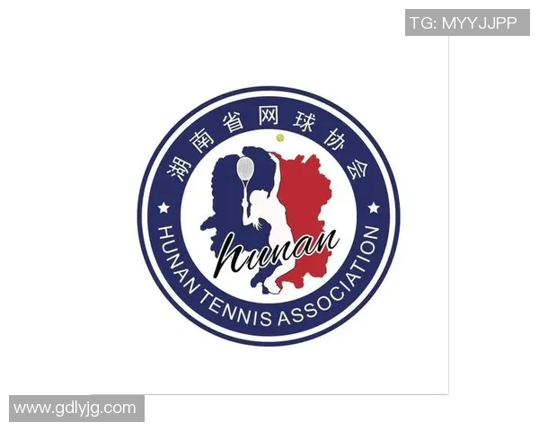 杭州网球队运营模式分析与发展前景探讨