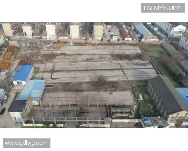 雄鹿栖息地与生态保护探索：深入分析雄鹿在自然环境中的生存挑战与未来展望